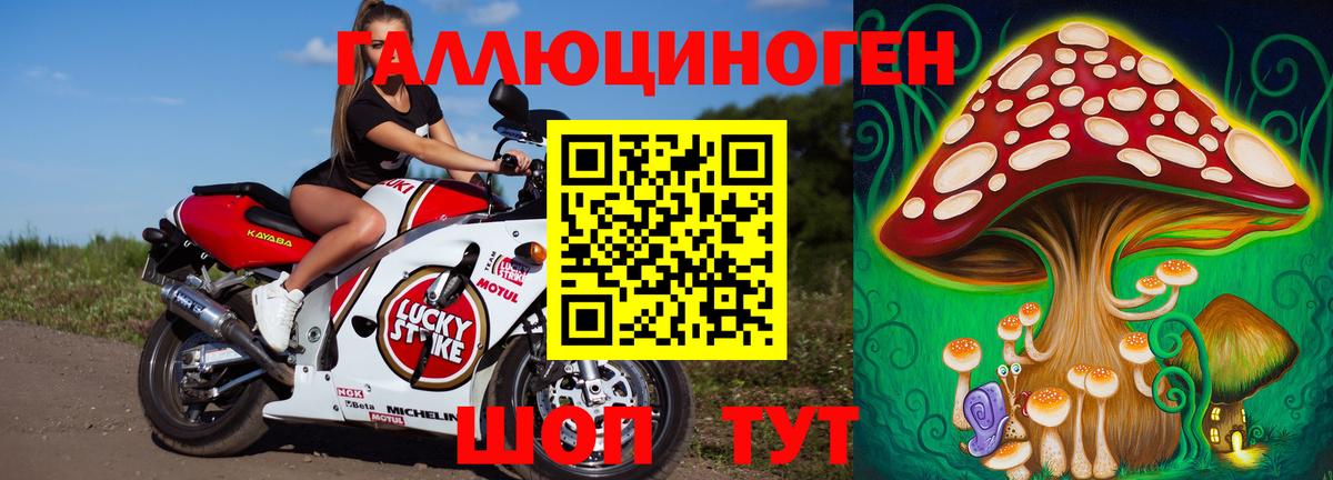Псилоцибиновые грибы ЛСД  Вход с VPN  Псилоцибиновые грибы ЛСД  закладки  Междуреченск 